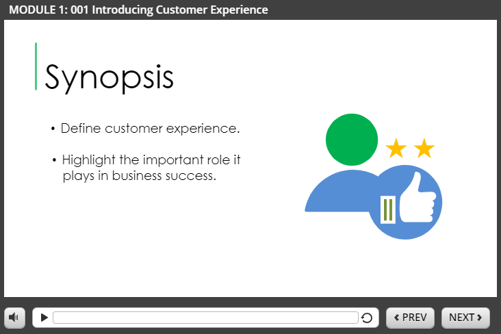 Introducing Customer Experience