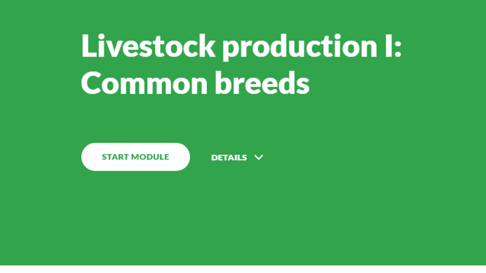 Livestock production Common breeds